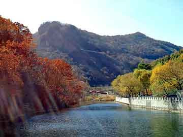 澳门二四六天天彩图库，水龟虫科